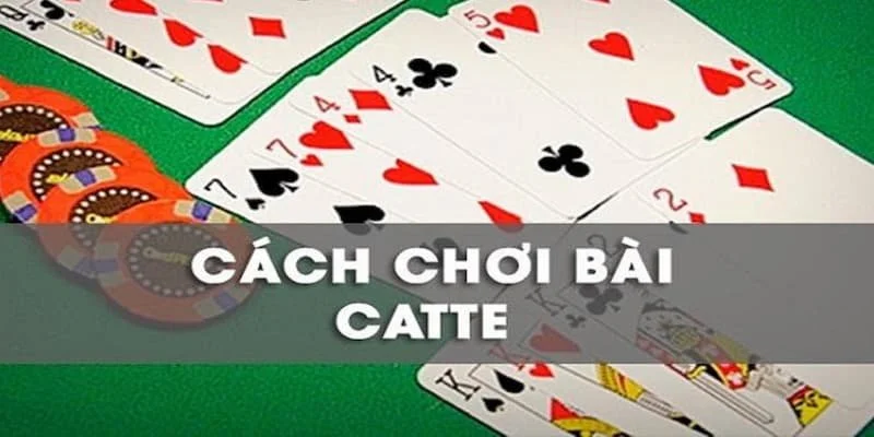 Hướng Dẫn Cách Đánh Bài Catte Online Cho Người Mới Chơi