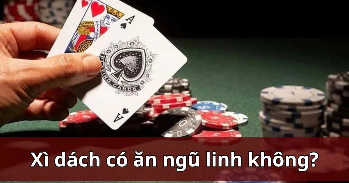 Xì Bàn Hay Ngũ Linh Lớn Hơn? Giải Đáp Chi Tiết Cho Người Mới