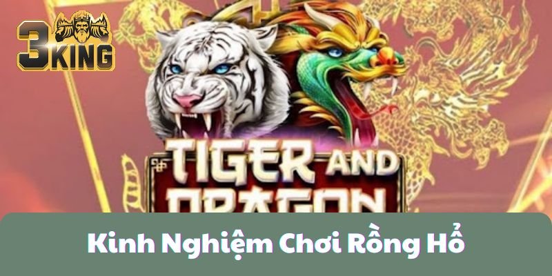 Top 6 Kinh Nghiệm Chơi Rồng Hổ Từ Cao Thủ Tại 3KING