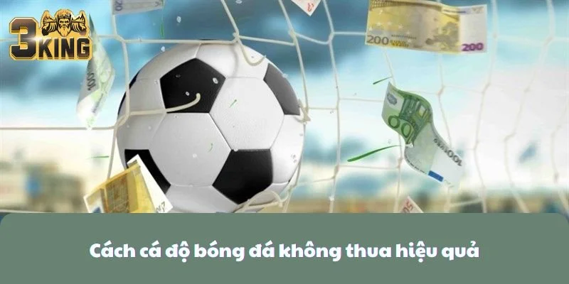 Cách Cá Độ Bóng Đá Không Thua Đơn Giản Nhất Cho Bet Thủ