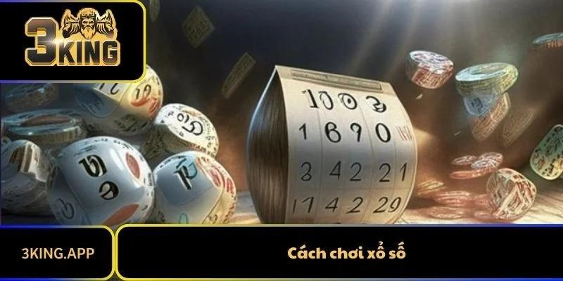 Cách Chơi Xổ Số Chi Tiết Cho Người Mới Nắm Vững