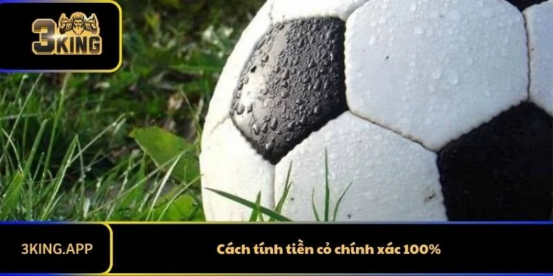 Hướng Dẫn Cách Tính Tiền Cỏ Chi Tiết Dễ Hiểu Và Chính Xác