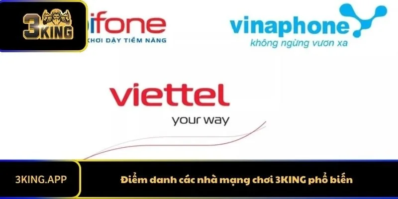 Nhà Mạng Chơi 3KING - Danh Sách Các Nhà Cung Cấp Mạng