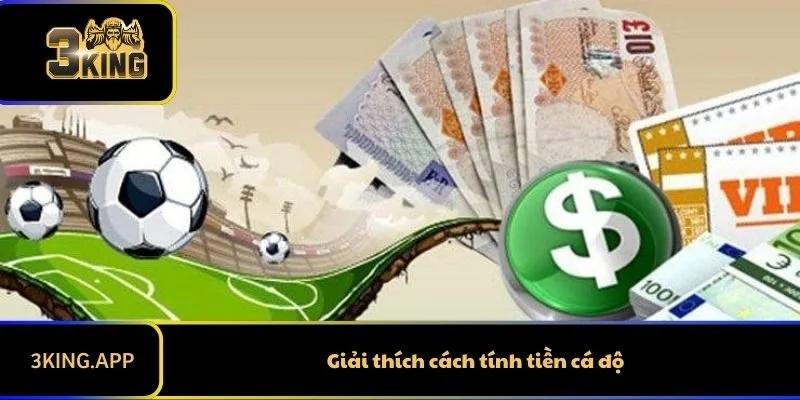 Giải Thích Cách Tính Tiền Cá Độ Thể Thao Cho Người Mới