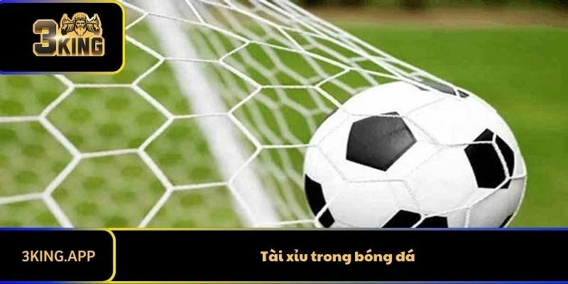 Tài Xỉu Bóng Đá Là Gì? Hướng Dẫn Đọc Kèo Đơn Giản Cho Newbie