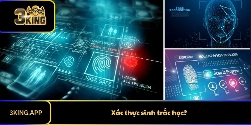 Xác Thực Sinh Trắc Học - Mang Đến Bảo Mật Vượt Trội