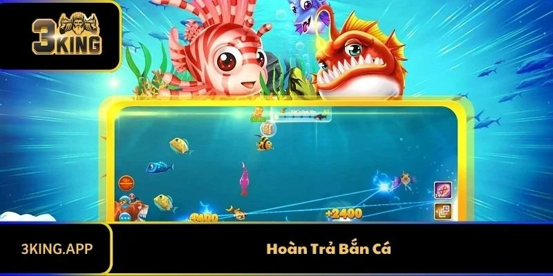 Hòa Trả Bắn Cá 3KING - Mức Hoàn Trả Khủng Nhất Năm 2025