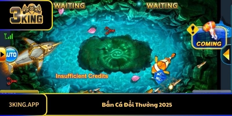 Bắn Cá Đổi Thưởng 2025 3KING: Giải Trí Và Cơ Hội Săn Thưởng