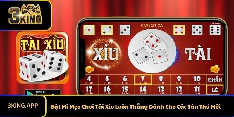 Bật Mí Mẹo Chơi Tài Xỉu Luôn Thắng Dành Cho Các Tân Thủ Mới