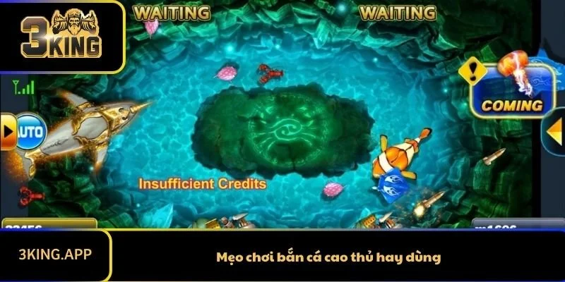 Mẹo Chơi Bắn Cá Cực Hay - Thắng Lớn Trong Tầm Tay