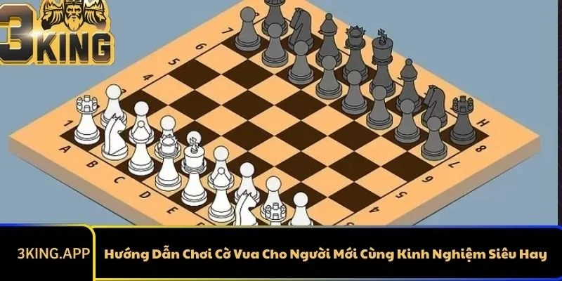 Hướng Dẫn Chơi Cờ Vua Cho Người Mới Cùng Kinh Nghiệm Siêu Hay