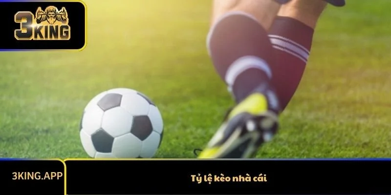 Tỷ Lệ Kèo Nhà Cái: Bí Quyết Hiểu Và Chinh Phục Mọi Trận Cá Cược