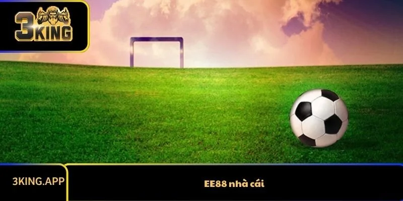 EE88 nhà cái - Lựa chọn đáng tin cậy cho người chơi cá cược