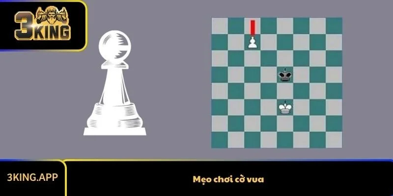 Mẹo Chơi Cờ Vua Giúp Dễ Dàng Giành Chiến Thắng