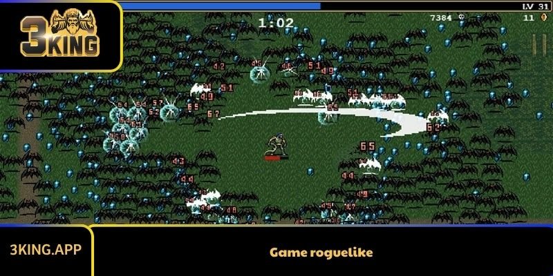 Game roguelike – Các Trò Chơi Siêu Đặc Biệt