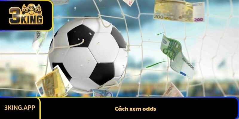 Cách xem odds trong cá cược bóng đá chi tiết nhất
