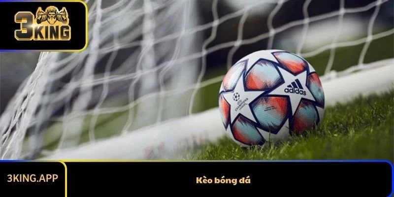 Kèo Bóng Đá - Hướng Dẫn Cách Đọc Tổng Quan Các Kèo