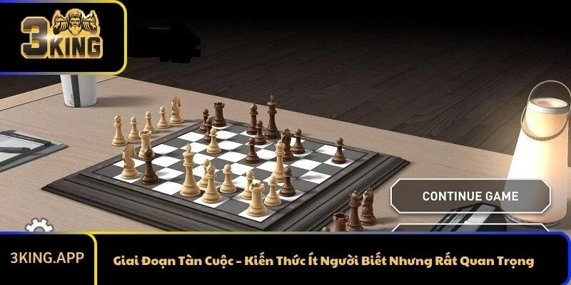 Cách Chơi Cờ Vua Hay: Bí Quyết Cho Người Mới &amp; Người Đã Biết Chơi