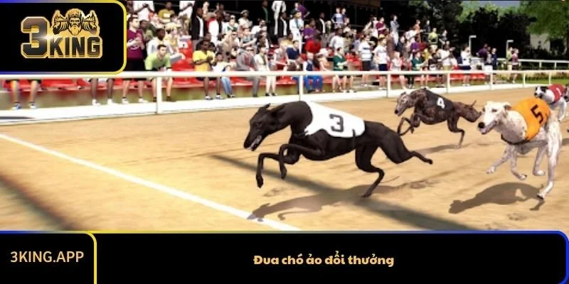 Đua chó ảo đổi thưởng – Top sân chơi uy tín được nhiều người lựa chọn