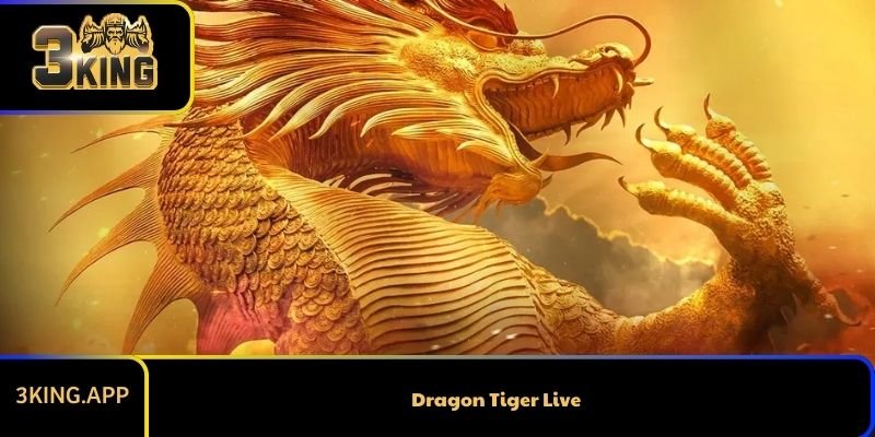 Dragon Tiger Live Và Những Hướng Dẫn Chi Tiết Cho Người Mới