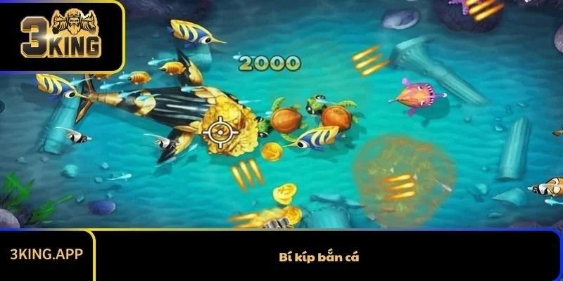 Bí kíp bắn cá giúp người chơi thắng thưởng lớn