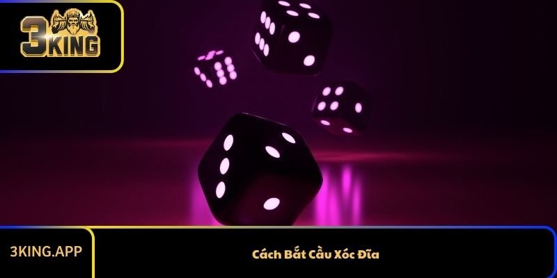 Cách Bắt Cầu Xóc Đĩa Không Ai Nói Cho Bạn Biết