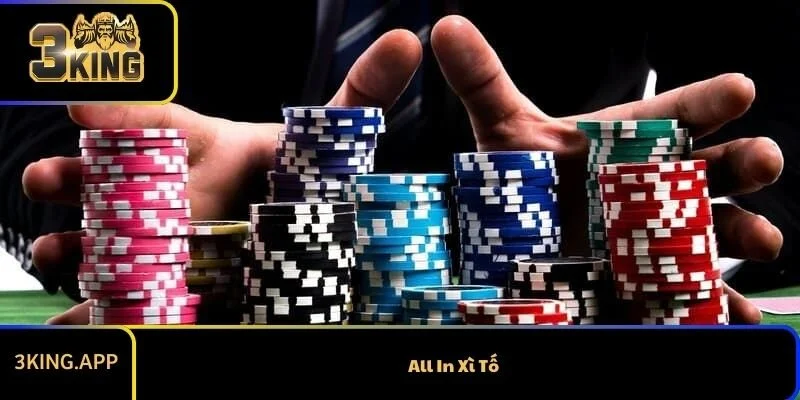 All In Xì Tố Và Cách Thực Hiện Chuẩn Xác Nhất 2026