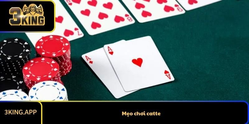 Mẹo Chơi Catte Cực Kỳ Hữu Ích Và Ít Người Biết