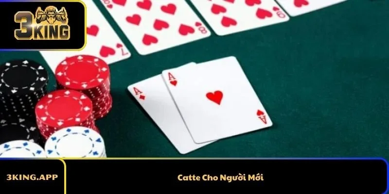 Catte Cho Người Mới - Huóng Dẫn Chơi Cho Tân Thủ