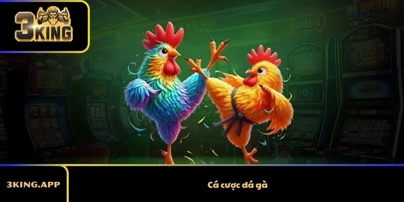 Cá cược đá gà - Top sân chơi được nhiều người chơi quan tâm