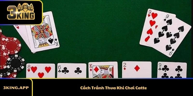 Cách Tránh Thua Khi Chơi Catte – Kinh Nghiệm Thực Tế Dễ Áp Dụng