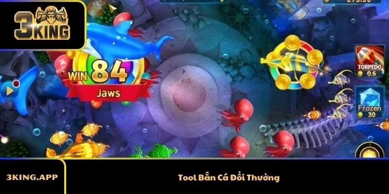 Có Nên Chọn Tool Bắn Cá Đổi Thưởng Khi Chơi Hay Không?
