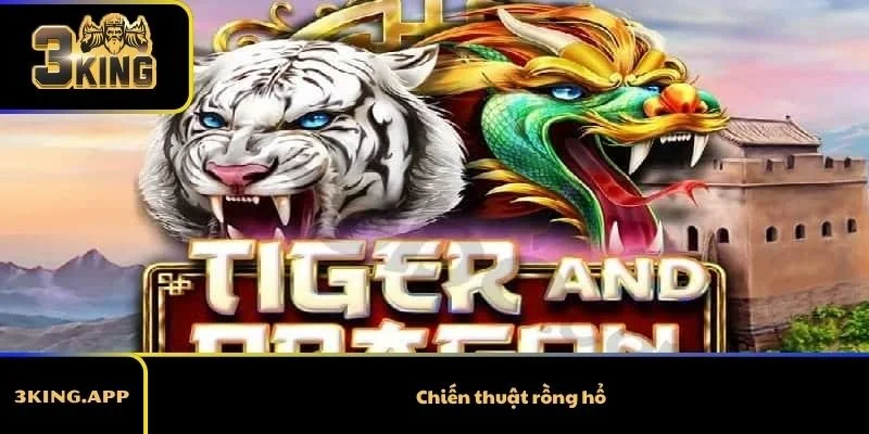 Chiến Thuật Rồng Hổ – Cách Chơi Thực Tế Dễ Áp Dụng