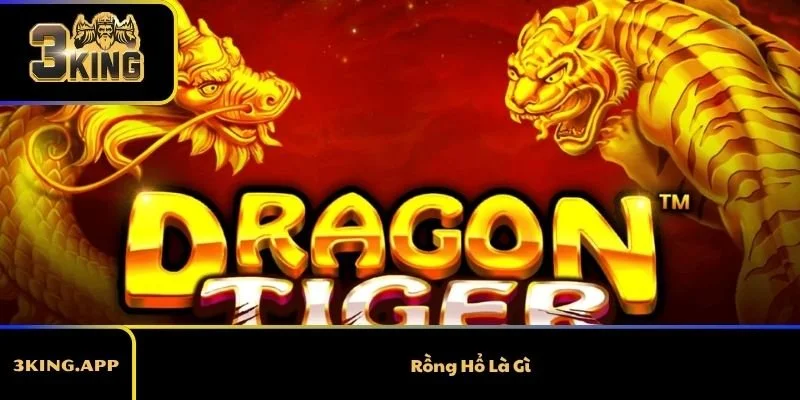 Rồng Hổ Là Gì? Cách Hiểu Nhanh Cho Người Mới