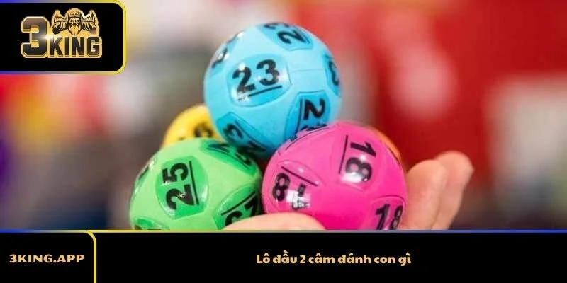 Lô đầu 2 câm đánh con gì? Mẹo bắt lô hiệu quả ít người biết