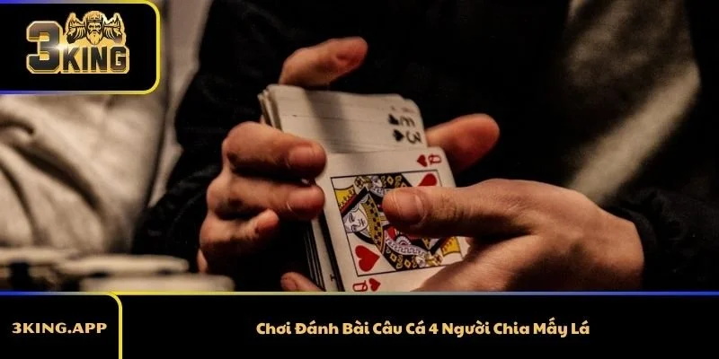 Chơi Đánh Bài Câu Cá 4 Người Chia Mấy Lá Mới Đúng?