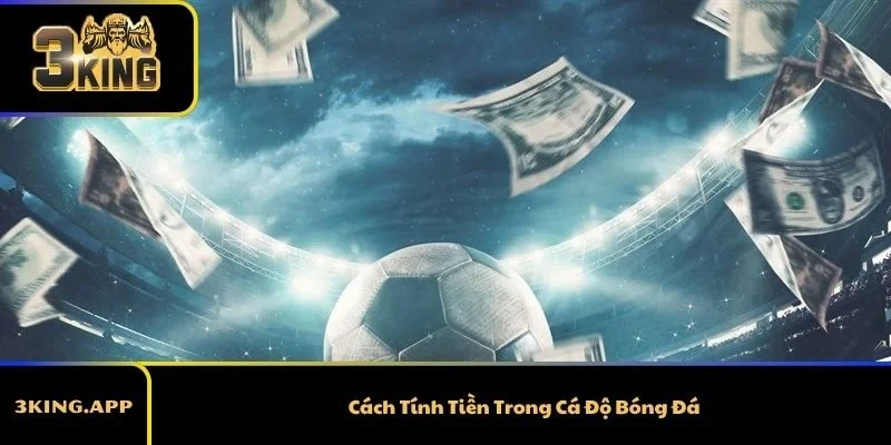 Cách Tính Tiền Trong Cá Độ Bóng Đá Chi Tiết Nhất
