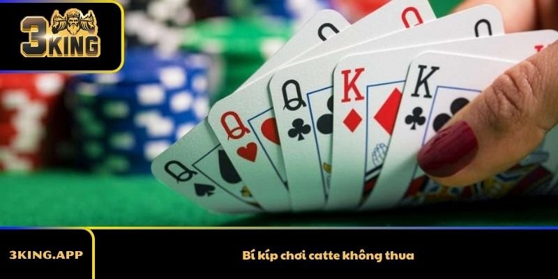 Bí kíp chơi catte không thua giúp bạn nâng cao tỷ lệ chiến thắng