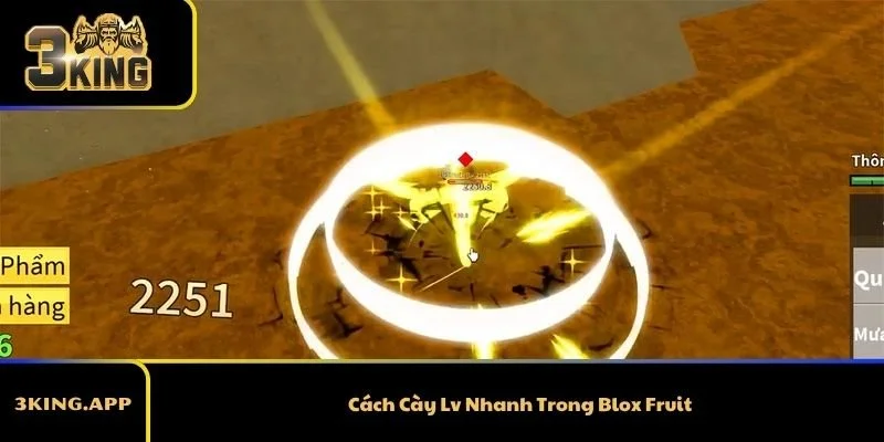 Cách Cày Lv Nhanh Trong Blox Fruit 2026 Chi Tiết