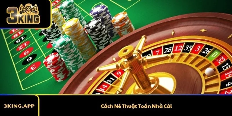 Cách Né Thuật Toán Nhà Cái 2026 Để Giảm Rủi Ro &amp; Tăng Tỷ Lệ Thắng