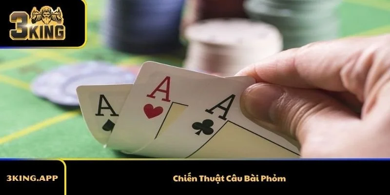 Chiến Thuật Câu Bài Phỏm – Nghệ Thuật Kiểm Soát Ván Bài