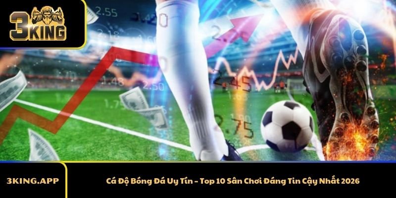 Cá Độ Bóng Đá Uy Tín – Top 10 Sân Chơi Đáng Tin Cậy Nhất 2026