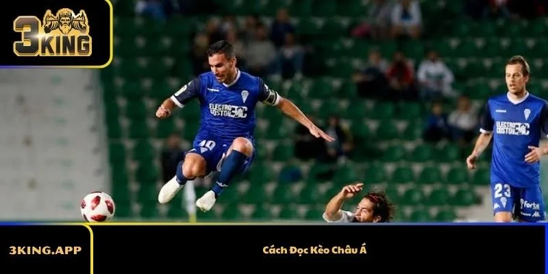 Cách Đọc Kèo Châu Á Từ A Đến Z Dành Cho Người Mới