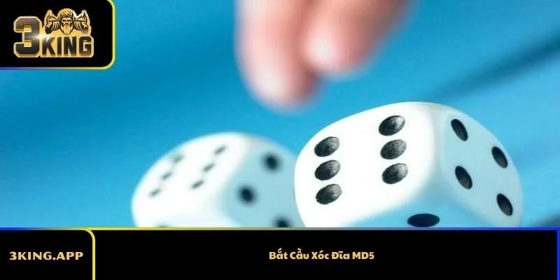 Bắt Cầu Xóc Đĩa MD5 – Phương Pháp Soi Cầu Phổ Biến Nhất