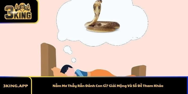 Nằm Mơ Thấy Rắn Đánh Con Gì? Giải Mộng Và Số Đề Tham Khảo