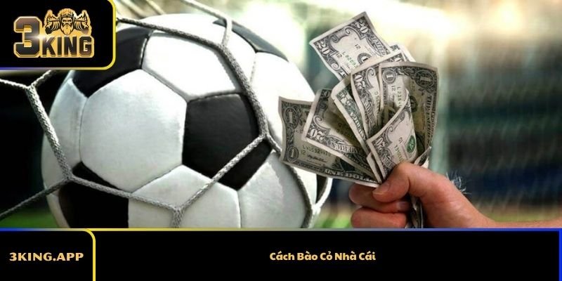 Cách Bào Cỏ Nhà Cái Như Thế Nào Để Hiệu Quả Nhất?