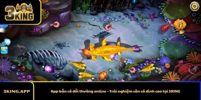 App bắn cá đổi thưởng online – Trải nghiệm săn cá đỉnh cao tại 3KING