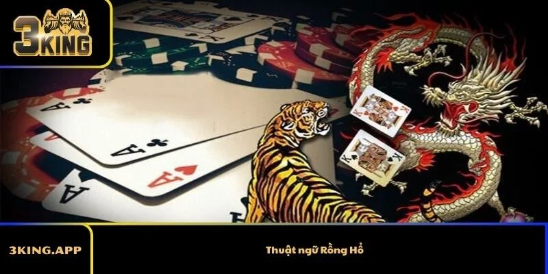 Thuật ngữ rồng hổ phổ biến người chơi cần biết
