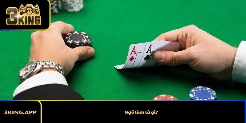 Ngũ linh là gì? Điều kiện, giá trị và những điều cần biết