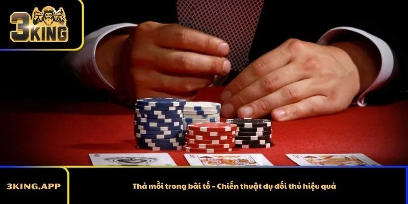 Thả mồi trong bài tố – Chiến thuật dụ đối thủ hiệu quả